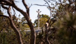 banksia-hill-secured-fencing