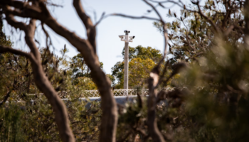 banksia-hill-secured-fencing