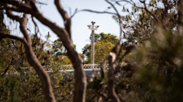 banksia-hill-secured-fencing