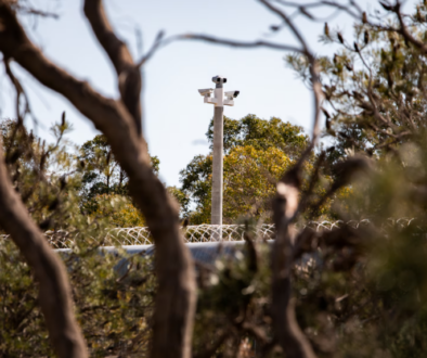 banksia-hill-secured-fencing