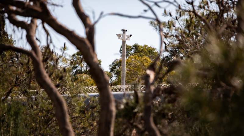 Banksia Hill is secured from wall-to-wall in Perth's southern suburbs. ABC News: Keane Bourke