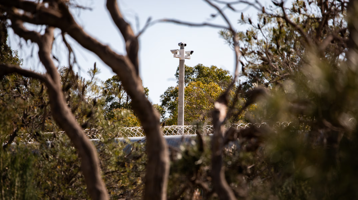 Banksia Hill is secured from wall-to-wall in Perth's southern suburbs. ABC News: Keane Bourke